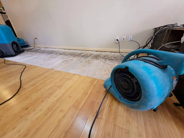 Reliable Basement Flood Cleanup contractor in Blue Ridge, VA by Hirex Water Damage