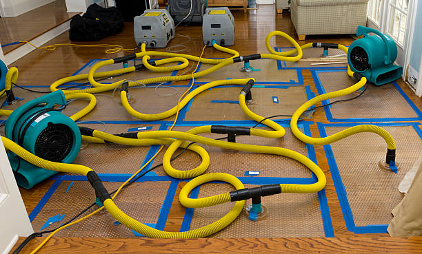 Professional Basement Flood Cleanup technician working in Blue Ridge, VA